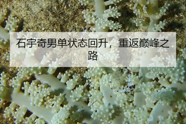 shi-yu-qi-nan-dan-zhuang-tai-hui-sheng-chong-fan-dian-feng-zhi-lu-2-100.jpg